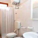 Palmaiola